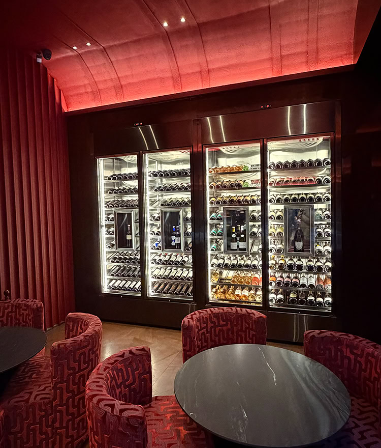 Wine Cabinet with Display Compartment